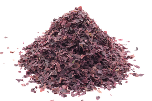 dulse_2