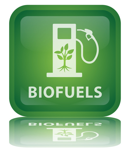 Biofuels research papers