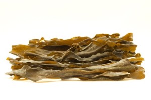 kelp