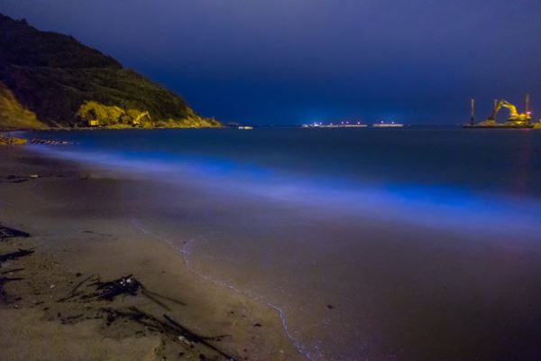 Il fenomeno della bioluminescenza delle alghe su una spiaggia delle isole Matsu