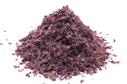 Alga Dulse in fiocchi