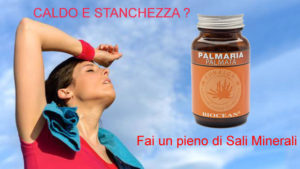 sali minerali palmaria palmata