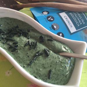 Salsina alla spirulina